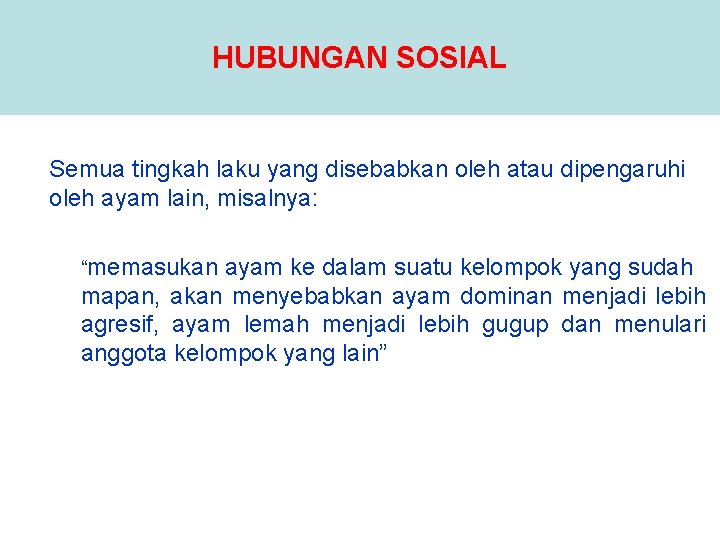 HUBUNGAN SOSIAL Semua tingkah laku yang disebabkan oleh atau dipengaruhi oleh ayam lain, misalnya: