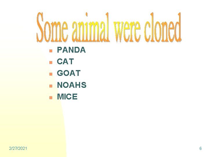 n n n 2/27/2021 PANDA CAT GOAT NOAHS MICE 6 