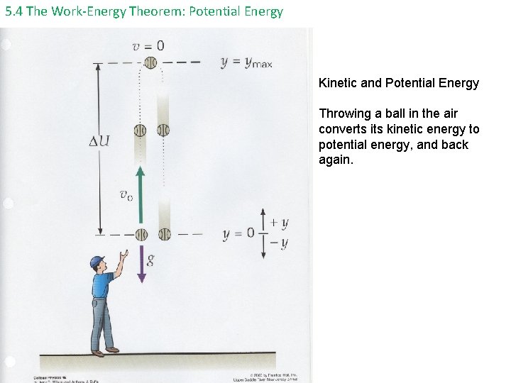 5. 4 The Work-Energy Theorem: Potential Energy Kinetic and Potential Energy Throwing a ball