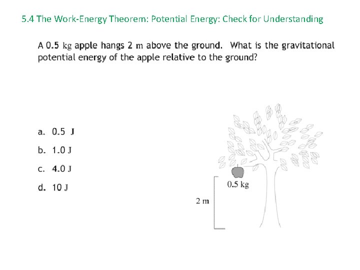 5. 4 The Work-Energy Theorem: Potential Energy: Check for Understanding 