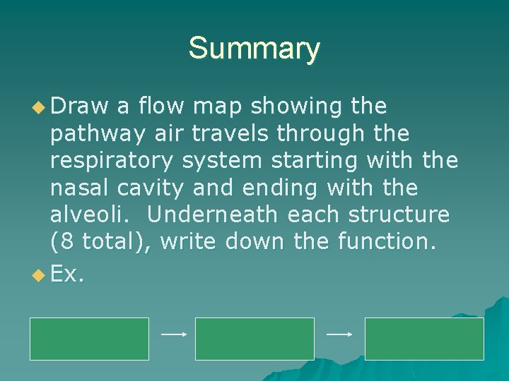 Summary u Draw a flow map showing the pathway air travels through the respiratory