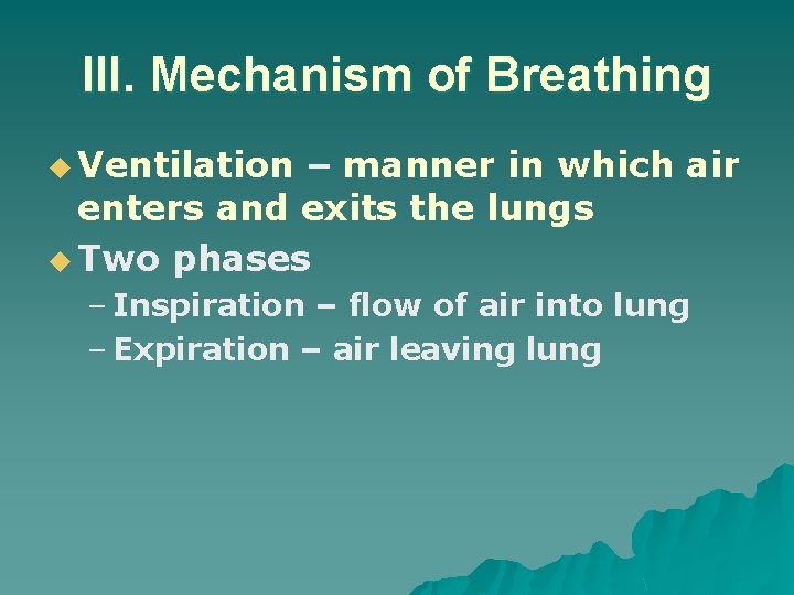 III. Mechanism of Breathing u Ventilation – manner in which air enters and exits
