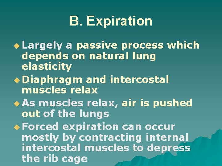 B. Expiration u Largely a passive process which depends on natural lung elasticity u