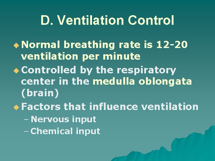 D. Ventilation Control u Normal breathing rate is 12 -20 ventilation per minute u