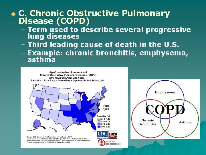 u C. Chronic Obstructive Pulmonary Disease (COPD) – Term used to describe several progressive