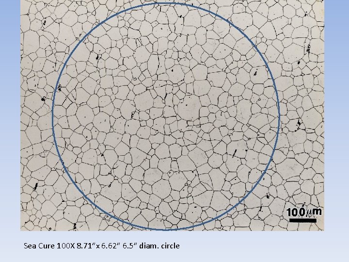 Sea Cure 100 X 8. 71”x 6. 62” 6. 5” diam. circle Sea Cure 100 X 8. 71”x 6. 62” 6. 5” diam. circle