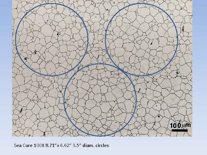 Sea Cure 100 X 8. 71”x 6. 62” 3. 5” diam. circles Sea Cure 100 X 8. 71”x 6. 62” 3. 5” diam. circles