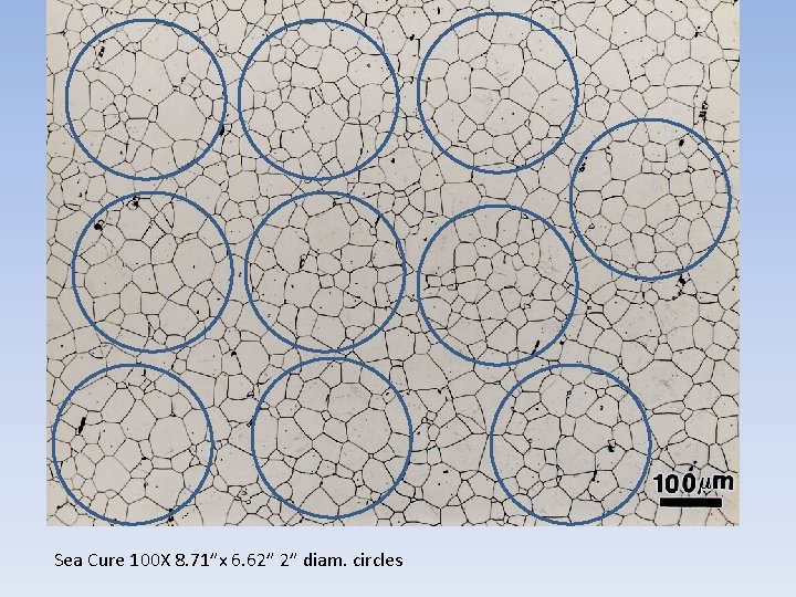 Sea Cure 100 X 8. 71”x 6. 62” 2” diam. circles Sea Cure 100 X 8. 71”x 6. 62” 2” diam. circles
