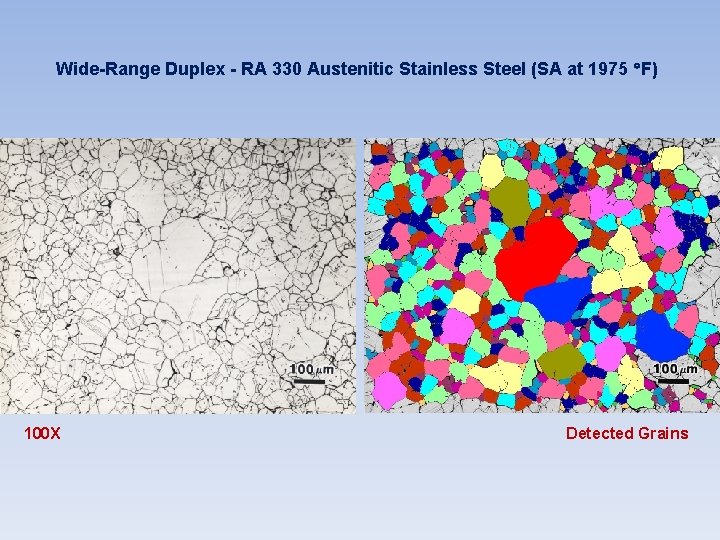 Wide-Range Duplex - RA 330 Austenitic Stainless Steel (SA at 1975 F) 100 X Wide-Range Duplex - RA 330 Austenitic Stainless Steel (SA at 1975 F) 100 X