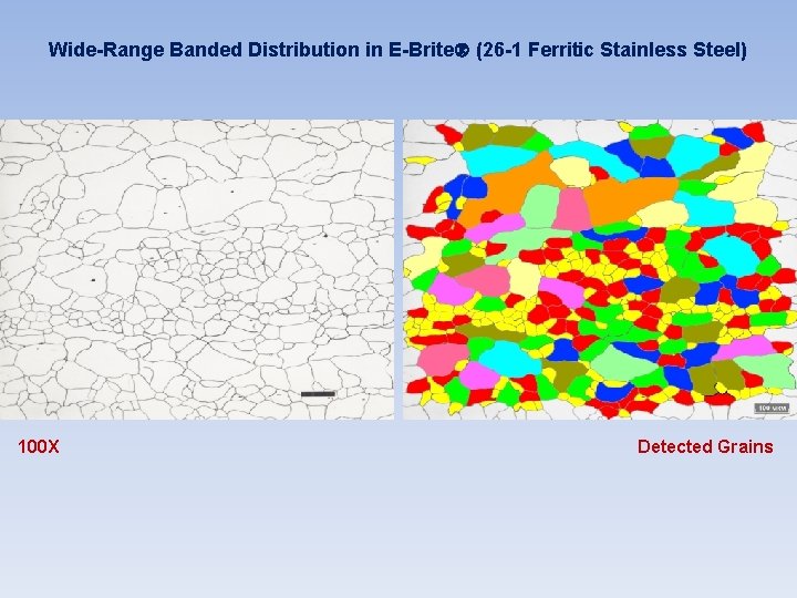 Wide-Range Banded Distribution in E-Brite (26 -1 Ferritic Stainless Steel) 100 X Detected Grains Wide-Range Banded Distribution in E-Brite (26 -1 Ferritic Stainless Steel) 100 X Detected Grains