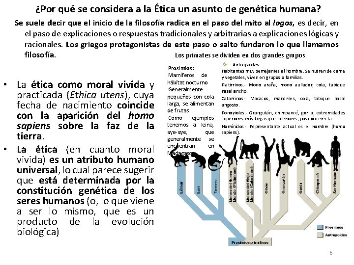 ¿Por qué se considera a la Ética un asunto de genética humana? Se suele