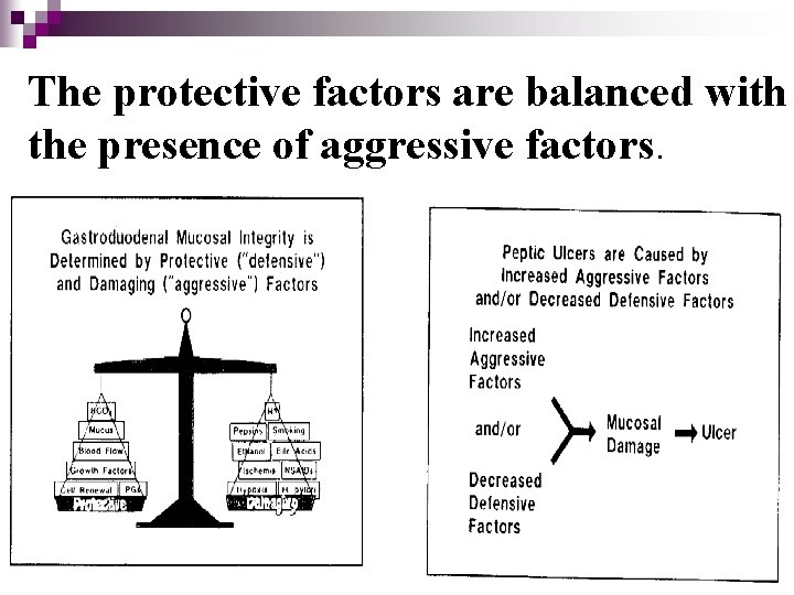 The protective factors are balanced with the presence of aggressive factors. 15 