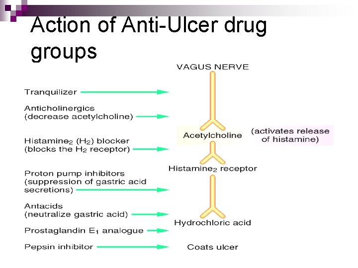 Action of Anti-Ulcer drug groups 