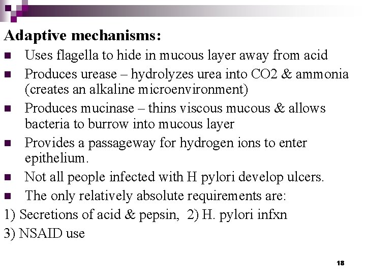 Adaptive mechanisms: Uses flagella to hide in mucous layer away from acid n Produces