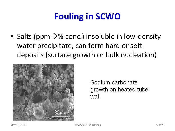 Fouling in SCWO • Salts (ppm % conc. ) insoluble in low-density water precipitate;