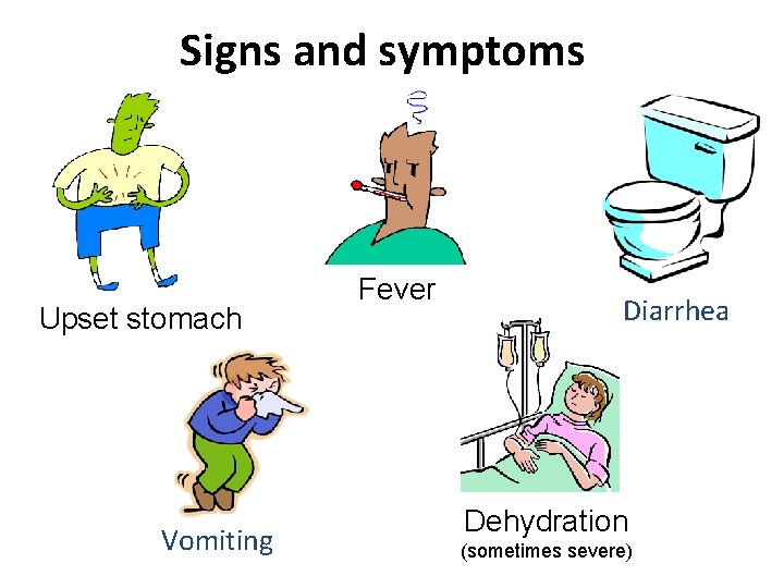 Signs and symptoms Upset stomach Vomiting Fever Diarrhea Dehydration (sometimes severe) 