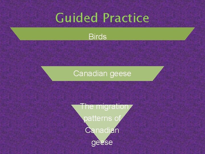 Guided Practice Birds Canadian geese The migration patterns of Canadian geese 