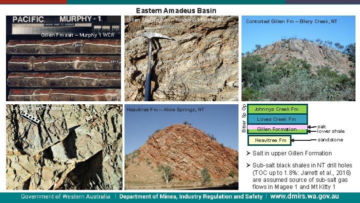 Eastern Amadeus Basin Centralian Superbasin Gillen Fm gypsum – Ringwood Dome, NT Contorted Gillen