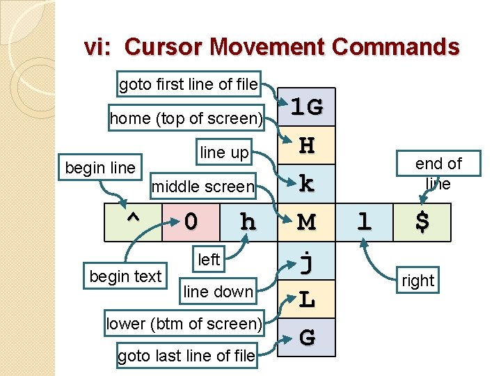 vi: Cursor Movement Commands goto first line of file home (top of screen) line