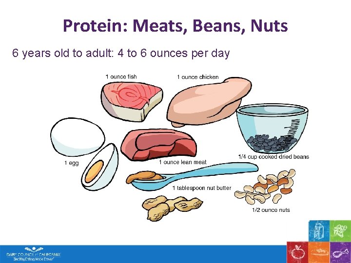 Protein: Meats, Beans, Nuts 6 years old to adult: 4 to 6 ounces per