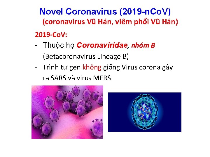 Novel Coronavirus (2019 -n. Co. V) (coronavirus Vũ Hán, viêm phổi Vũ Hán) 2019