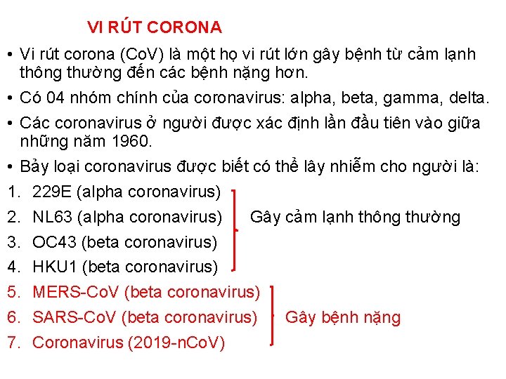 VI RÚT CORONA • Vi rút corona (Co. V) là một họ vi rút