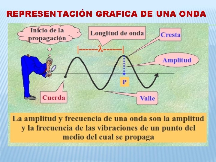 REPRESENTACIÓN GRAFICA DE UNA ONDA REPRESENTACIÓN GRAFICA DE UNA ONDA