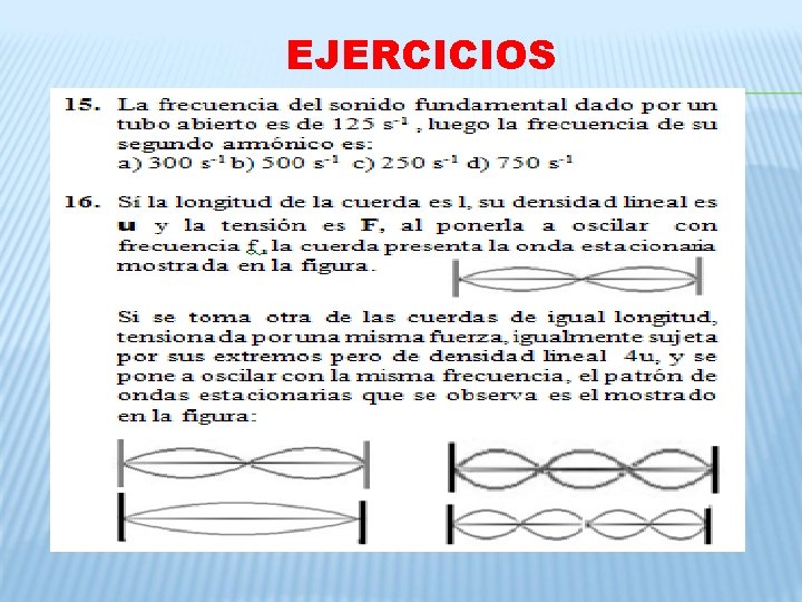 EJERCICIOS EJERCICIOS