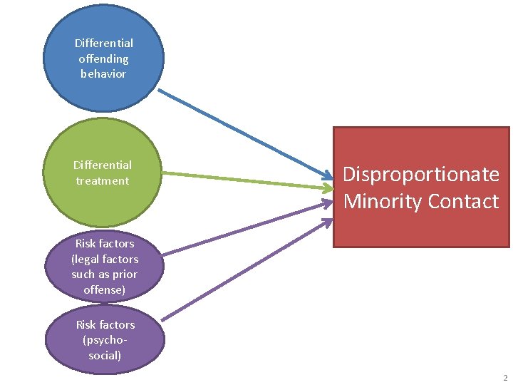Differential offending behavior Differential treatment Disproportionate Minority Contact Risk factors (legal factors such as