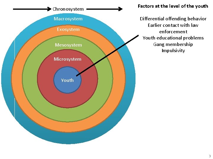 Chronosystem Macrosystem Exosystem Mesosystem Factors at the level of the youth Differential offending behavior