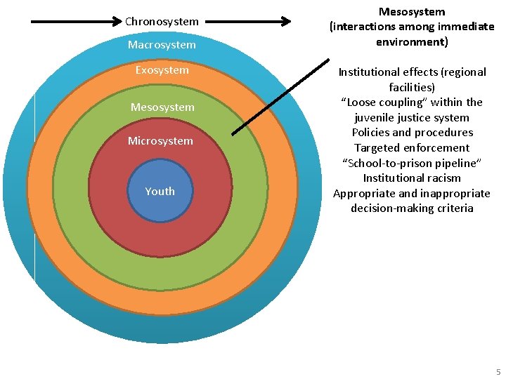 Chronosystem Macrosystem Exosystem Mesosystem Microsystem Youth Mesosystem (interactions among immediate environment) Institutional effects (regional