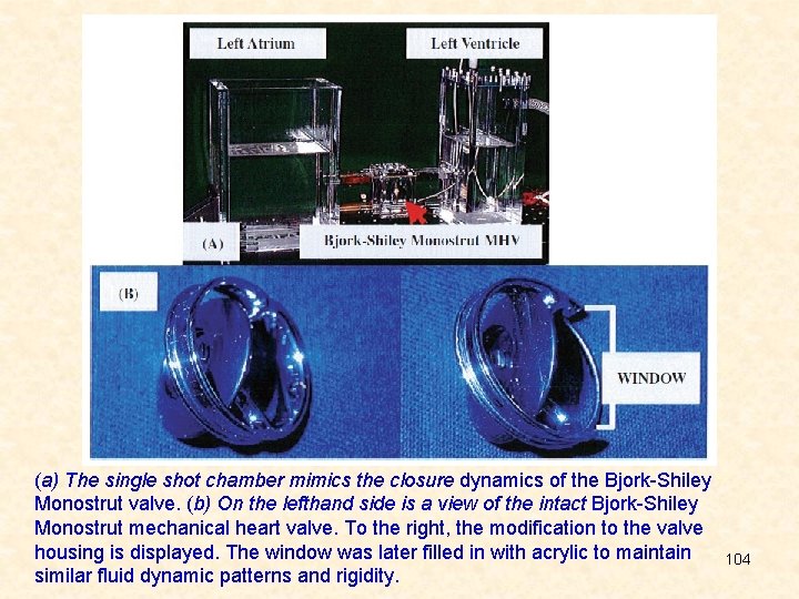 (a) The single shot chamber mimics the closure dynamics of the Bjork-Shiley Monostrut valve.