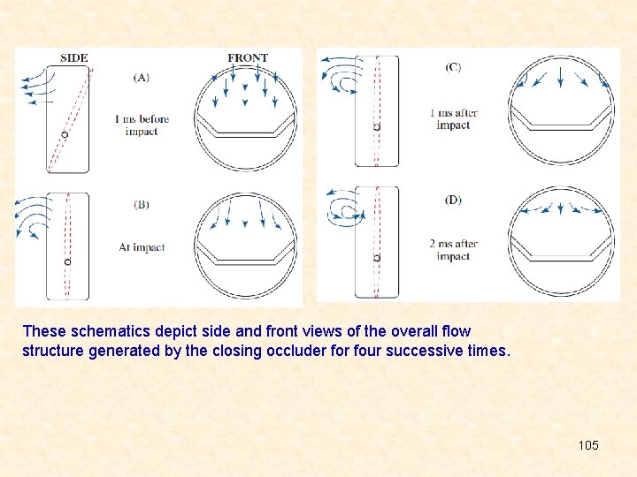 These schematics depict side and front views of the overall flow structure generated by