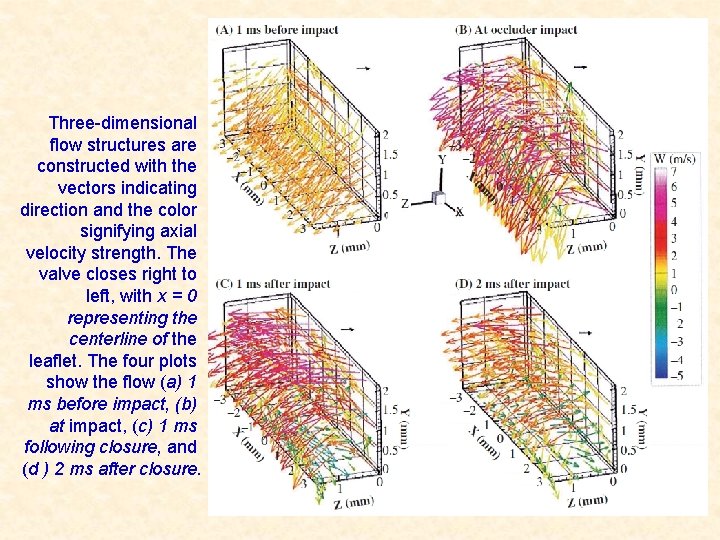 Three-dimensional flow structures are constructed with the vectors indicating direction and the color signifying