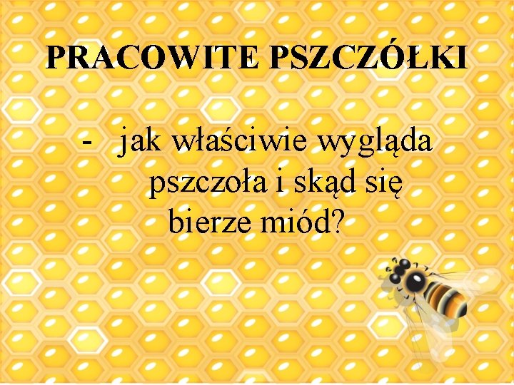 PRACOWITE PSZCZÓŁKI - jak właściwie wygląda pszczoła i skąd się bierze miód? 