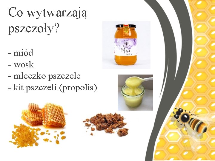 Co wytwarzają pszczoły? - miód - wosk - mleczko pszczele - kit pszczeli (propolis)