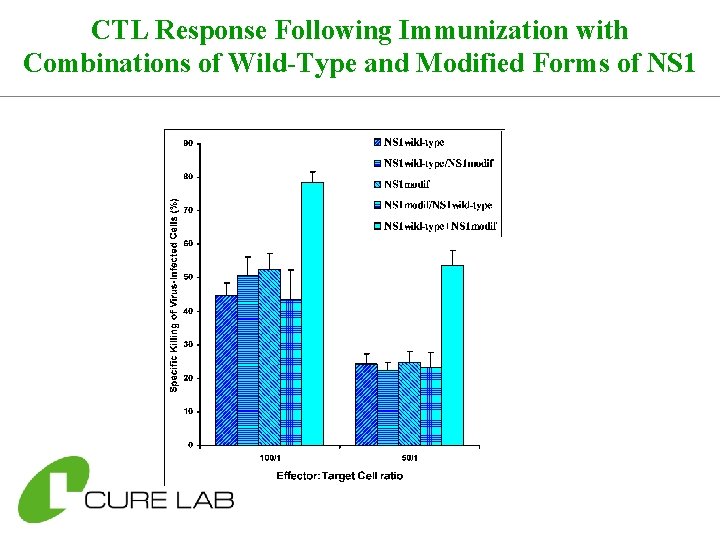 CTL Response Following Immunization with Combinations of Wild-Type and Modified Forms of NS 1
