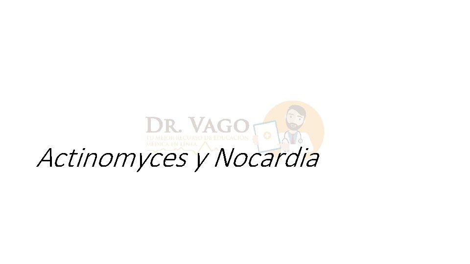 Actinomyces y Nocardia 