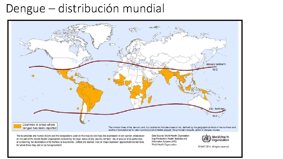 Dengue – distribución mundial 