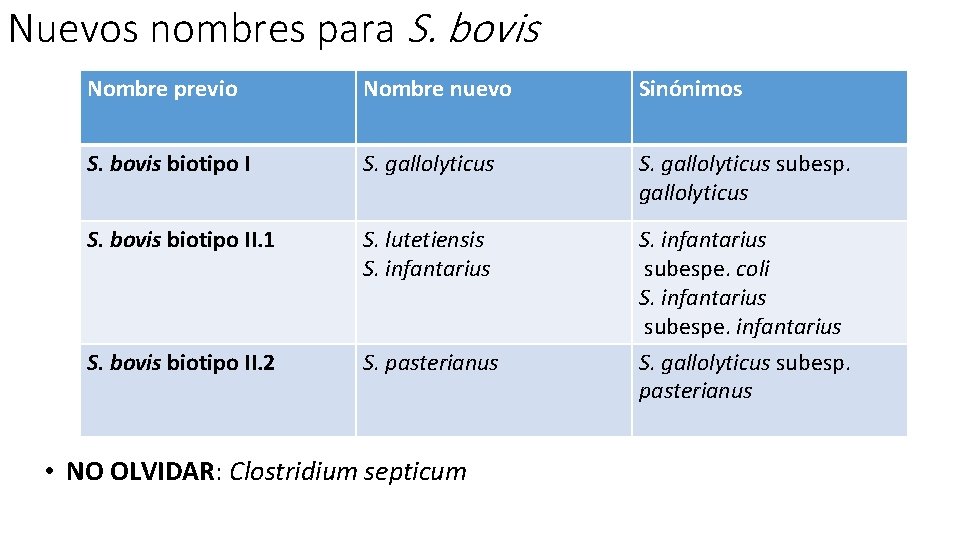 Nuevos nombres para S. bovis Nombre previo Nombre nuevo Sinónimos S. bovis biotipo I