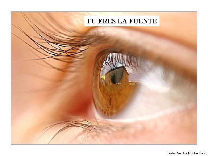 TU ERES LA FUENTE 