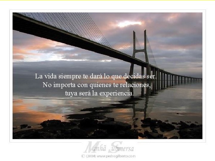 La vida siempre te dará lo que decidas ser. No importa con quienes te