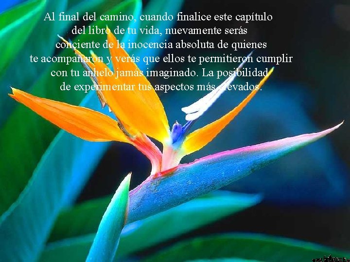 Al final del camino, cuando finalice este capítulo del libro de tu vida, nuevamente