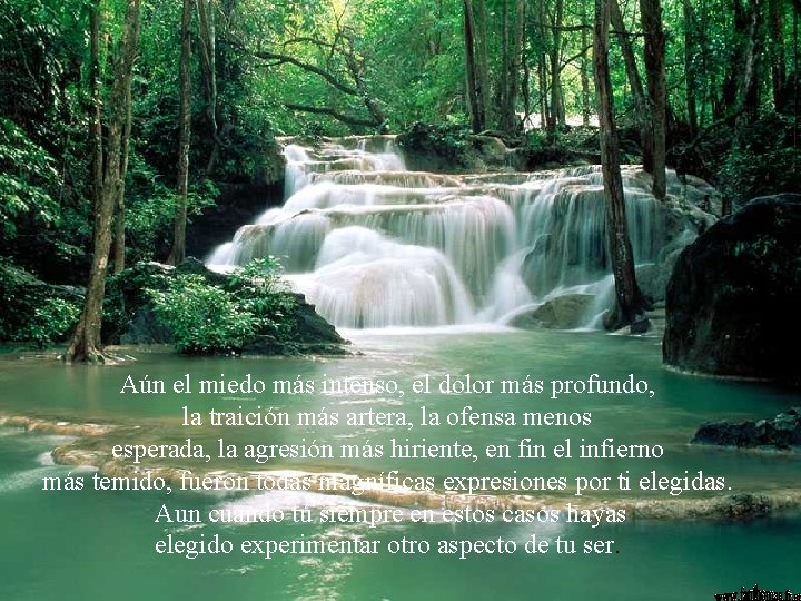 Aún el miedo más intenso, el dolor más profundo, la traición más artera, la