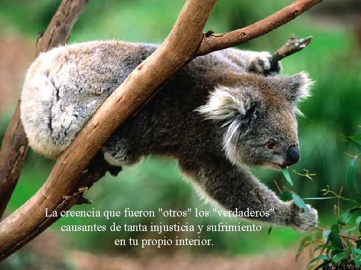 La creencia que fueron "otros" los "verdaderos" causantes de tanta injusticia y sufrimiento en