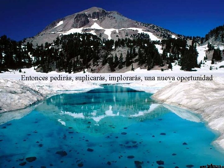 . Entonces pedirás, suplicarás, implorarás, una nueva oportunidad 