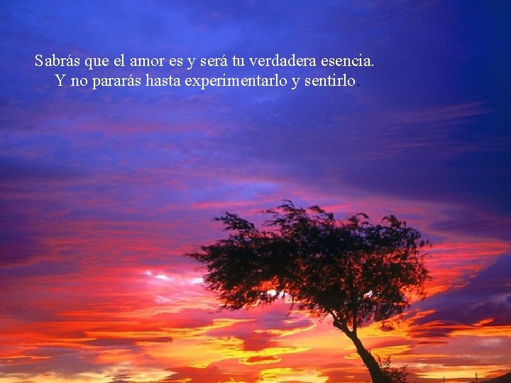Sabrás que el amor es y será tu verdadera esencia. Y no pararás hasta