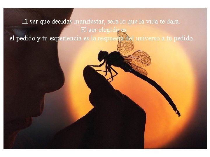 El ser que decidas manifestar, será lo que la vida te dará. El ser