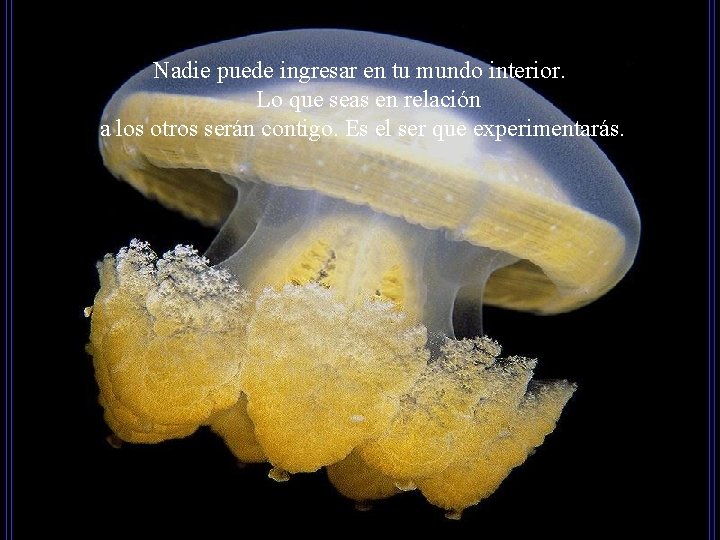 Nadie puede ingresar en tu mundo interior. Lo que seas en relación a los
