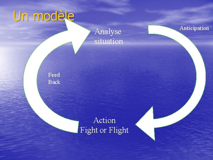 Un modèle Analyse situation Feed Back Action Fight or Flight Anticipation 